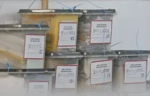 Edhe më shumë se 40 mijë vota për numërim, VV-ja nga diaspora i mori 4 ulëse