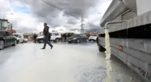Sot protestohet para Ministrisë së Bujqësisë, fermerët do të shpërndajnë qumësht falas për qytetarët