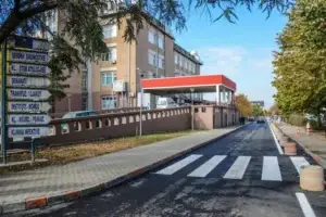 25-vjeçarja shtatzënë humbi jetën pas plagëve me armë zjarri në Malishevë, 26-vjeçari në gjendje të rëndë