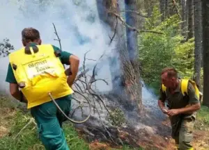 Temperaturat e larta rrisin rrezikun nga zjarret, AMMK-ja apel për kujdes maksimal