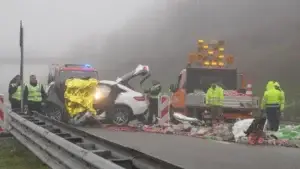 77 të vdekur gjatë 8 muajve, ekspertët tregojnë shkaqet kryesore