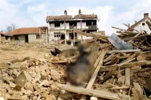 Prokuroria dorëzon aktakuzë për krime lufte në lagjen e Jasharajve në Prekaz   