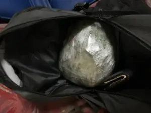 Dogana dhe Policia zbulojnë 2.162 kilogramë marihuanë në Vërmicë