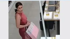Publikohet fotografia e të dyshuares për vjedhje, Policia kërkon informacione nga qytetarët