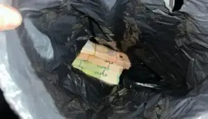 Dogana dhe Policia zbulojnë mbi 30 mijë euro të padeklaruara në Bërnjak